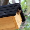 Nature's Way 8" Cedar Hanging Wren Bird House Natural Wood: Insect-Resistant, Easy Clean-Out, Air Vents - 2 of 4