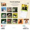 BrownTrout French Bulldogs 2026 12"x24" Hanging Square Wall Calendar Plastic-Free - 2 of 4