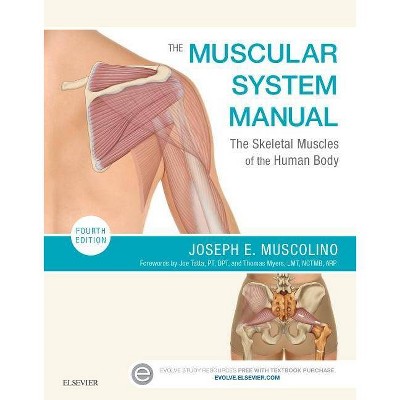 The Muscular System Manual - 4th Edition by  Joseph E Muscolino (Paperback)