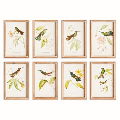 Plum & Post Hummingbirds In Blooms Study, Set Of 8 - Multicolor Prints