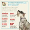 Country Brook Petz HossFit Jr Wide Martingale Dog Collar, Tasty Collection - 4 of 4