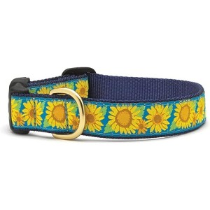Up Country Bright Sunflower Dog Collar, Medium (12 to 18 inches) 1 inch Wide Width - 1 of 1