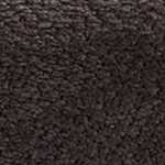 charcoal