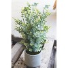 Artificial Boxwood in a Cement Pot – 18" Decorative Faux Green Plant by Kalalou - 3 of 3