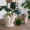 Moda Furnishings Sand and Cement Coral Planter with Textured Beige Finish - 4 of 4