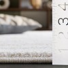 Northport NTP404 Indoor Rugs - Safavieh - 4 of 4