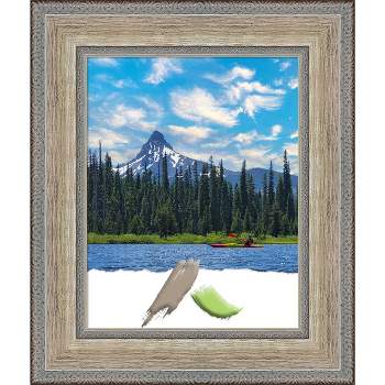 11"x14" Opening Size Wood Picture Frame Art Fleur Silver - Amanti Art