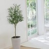 Artificial Olive Tree in Pot, Large Silk Olive Plant with Realistic Branches and Leaves for Indoor Home Office Decor - 3 of 4