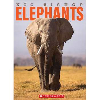 Nic Bishop Elephants - (Hardcover)