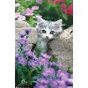 Trends International Keith Kimberlin - Kitten - Stones and Flowers Unframed Wall Poster Prints - 4 of 4