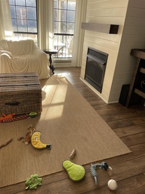 Nuloom Rosy Classic Indoor/outdoor Area Rug 2' X 3' In Natural : Target