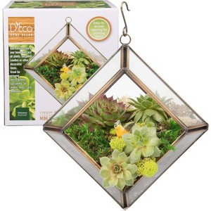 D'Eco Glass Mini Diamond Plant Terrarium (5 x 5 x 3.5") - Indoor Tabletop Copper Geometric Planter Holiday Decor - Christmas Gift for Plant Lovers - 1 of 3