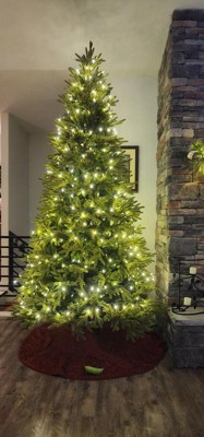 Guest review image 1 of 3, zoom in