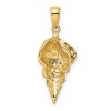 Black Bow Jewelry 14k Yellow Gold 2D Conch Shell Pendant - 3 of 4