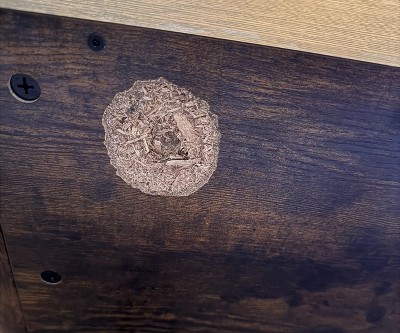 Guest review image 1 of 1, zoom in