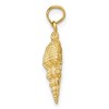 Black Bow Jewelry 14k Yellow Gold 2D Textured Conch Shell Pendant - 2 of 4