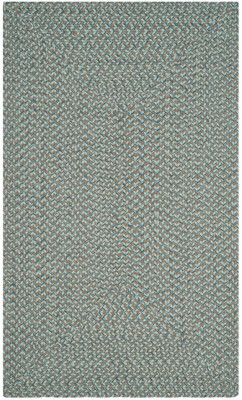 Braided BRD170 Hand Woven Area Rug  - Safavieh