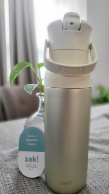 Zak Designs 32oz Recycled Stainless Steel Vacuum Insulated Straw Water  Bottle - Ivory in 2023