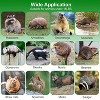 iMountek"38" 2-Door Live Animal Trap Cage for Raccoons, Skunks, Armadillos, Opossums, & More - Humane"Green - 3 of 4