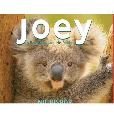 Joey: A Baby Koala and His Mother - by  Nic Bishop (Hardcover)