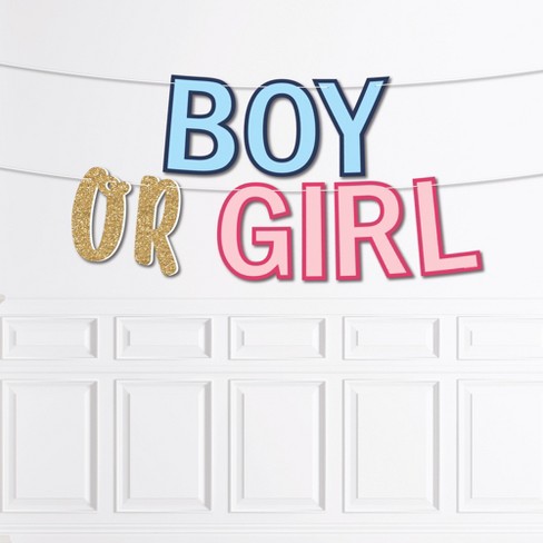 Big Dot Of Happiness Baby Gender Reveal - Team Boy Or Girl Party Bunting  Banner - Party Decorations - Gender Reveal : Target