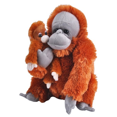 Cuddle Plush Toys - Kid Republic