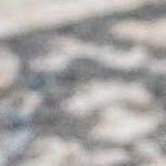 charcoal, camel, blue, lightgray, mediumgray