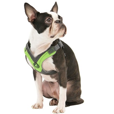 Gooby Trekking Harness, Small Dog Fleece Lined Harness with Memory Foam Padding, Green, Large