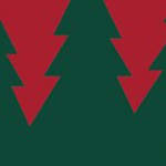 minnesota wild