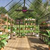 CAVINAS Polycarbonate Greenhouse with UV Protection Walk-in Storage Shed with Adjustable Vent Window - 3 of 4