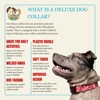 Country Brook Petz Deluxe Dog Collar - Christmas Collection - Made In The U.S.A. - 2 of 4