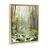 Stupell Industries Verdant Forest Glow Wilderness Floating Frame Canvas Art - 2 of 4