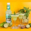 Master of Mixes Mojito Drink Mix - Ready to Use - 1 Liter Bottle (33.8 Fl Oz) - Mixer Perfect for Bartenders and Mixologists - 3 of 4