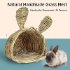 ZACHVO Handmade Natural Grass Nest for Small Pets - Bunny, Chinchilla, Hamster - 2 of 4
