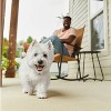 Cesar Variety Pack with Classic Loaf in Sauce Small Breed Wet Dog Food - 3.5oz/12ct - 4 of 4