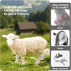 9-Piece Realistic Farm Animal Toys Set, Plastic Cow Sheep Pig Figurines for Toddlers, Educational Learning Toys - 4 of 4