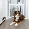 Primetime Petz Connect-a-Gate-Universal Wall Mount Kit for Wooden Pet Gates Secure Boundaries and Peace of Mind,Freedom for Your Furry Friends - 4 of 4