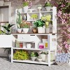 Outdoor Potting Bench with Hutch, Wood Garden Workstation, Plotting Bench with Drawer and Adjustable Shelves and Cabinets-Coolbibila - 2 of 4