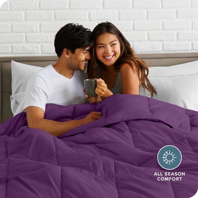 Plum Queen Ultra-Soft Microfiber Comforter Set - 3 Pieces