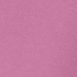 mauve orchid
