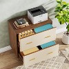 Tribesigns Saddle Leather 2-Drawer File Cabinet - 4 of 4