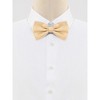 Allegra K Men's Halloween Polka Dots Pre-Tied Work Formal Party Tuxedo Bowknot Bow Ties - 2 of 4