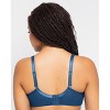 Curvy Couture Sheer Mesh Push Up - 2 of 4