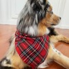 Wrapables Christmas Pet Triangle Bandana Scarves 2pcs, Small, Classic Plaid - 4 of 4