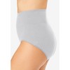 Comfort Choice Plus Size Cotton Spandex Comfort Waist Brief 2-Pack - 4 of 4