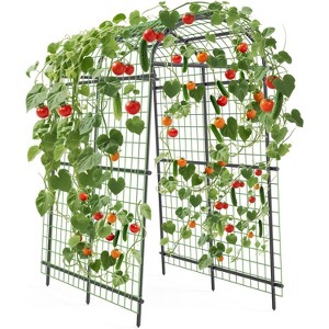 Garden Arch Trellis,Tall Metal Garden Trellis with Netting for Climbing Plants, Vegetables, Flowers, Outdoor Pergola Arbor Wedding Party Decoration - 1 of 4