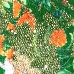 green floral