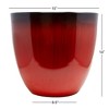 Gardener Select Fiberglass Egg-Shaped Indoor Outdoor Planter - 3 of 4