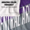 University Of Central Arkansas Fan Zone Silky Touch Super Soft Throw Blanket 50x60 - 4 of 4