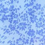 ultra blue french blue flower